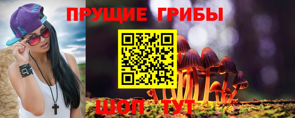 Галлюциногенные грибы мухоморы Бугуруслан