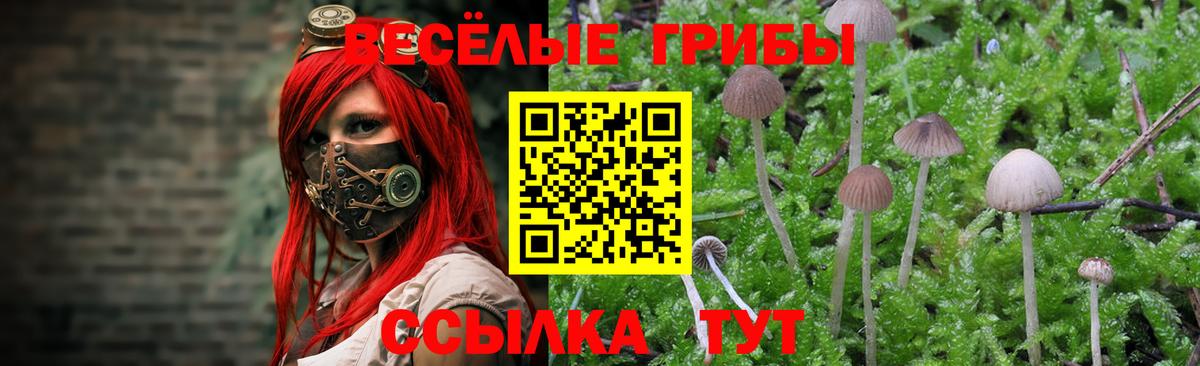 Псилоцибиновые грибы мухоморы  Вход с VPN  Бугуруслан 